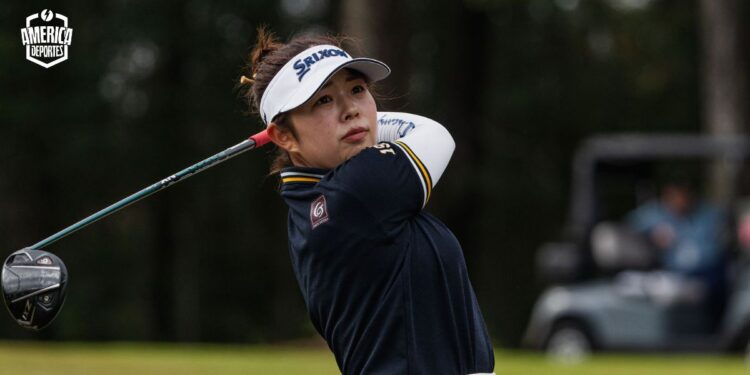 Miyu Yamashita