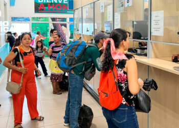 Migración Amatillo_radioamérica jpg