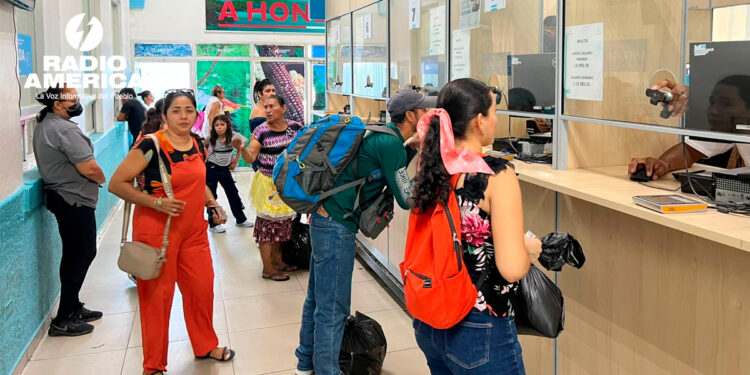 Migración Amatillo_radioamérica jpg