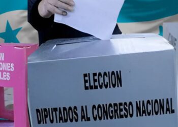 ONG estadounidense