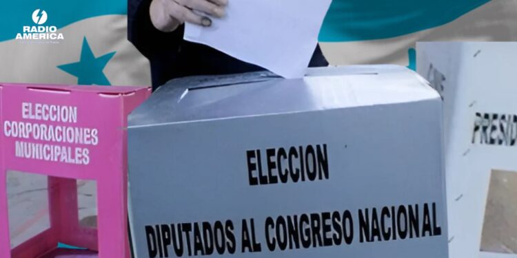 ONG estadounidense