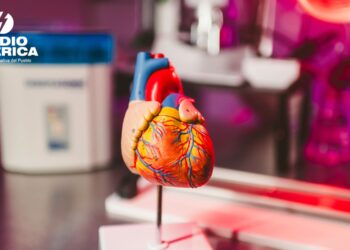 IA busca prevenir infartos oyendo los latidos
