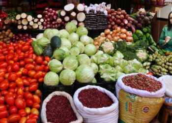 JPG_. Seguridad Alimentaria