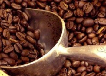 Tendencias del mercado del café serán abordadas en la 140 Asamblea de la OIC en Honduras