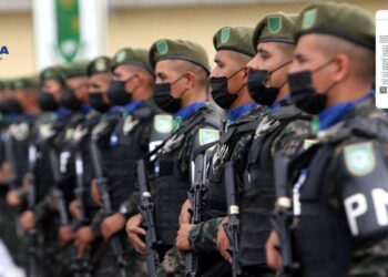 Fuerzas Armadas