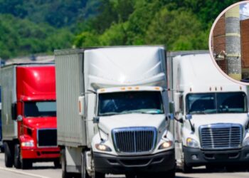 CNE adjudica transporte electoral para los comicios del 30 de noviembre