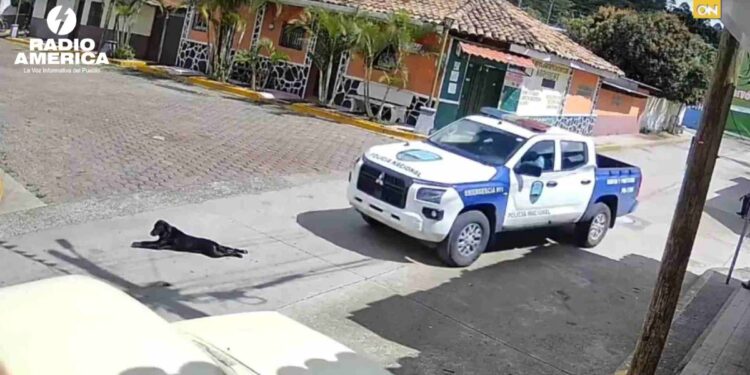 policías