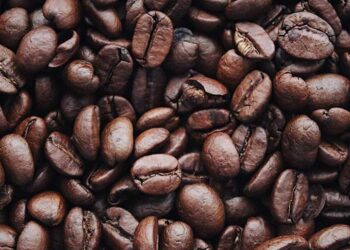 Exportadores de café