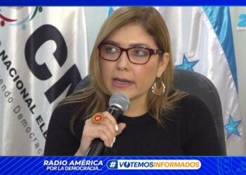 Ana Paola Hall: CNE continúa enfrentando acciones para interrumpir y demorar el proceso electoral