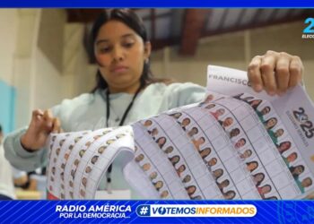 R. Dominicana, Panamá, Ecuador y Costa Rica piden a OEA dar informe de comicios hondureños