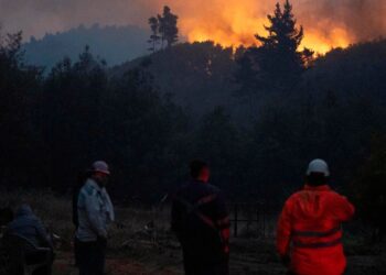 Elevan a 20 las víctimas de fuegos del sur de Chile y detienen a sospechoso de provocarlos