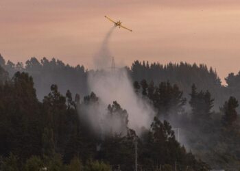 Suben a 19 los muertos en los incendios en Chile entre inquietud por reactivación de focos