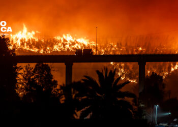 Incendios forestales_radioamérica jpg