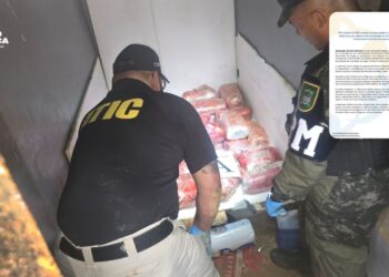 Ministerio Público da fuerte golpe a la MS-13 en Omoa, Cortés, deja incautación de armas y drogas