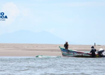 Organizaciones comunitarias invitadas a postular proyectos de biodiversidad, degradación de tierra y cambio climático