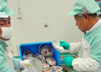 Alimentos_radioamérica jpg