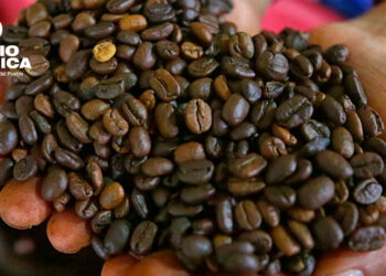 Café_radioamérica jpg