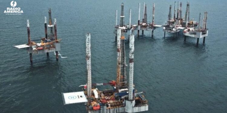 EE.UU. estudia permitir la perforación de crudo en zonas protegidas del golfo de México