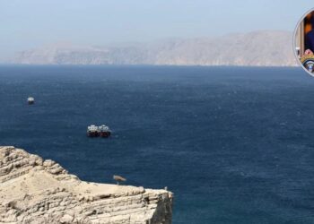 Trump pide al resto de países aliados que abran ellos el estrecho de Ormuz