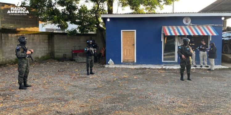 MP desarticula estructura criminal tras decomiso millonario de droga