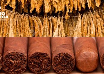 Tabaco_radioamérica jpg