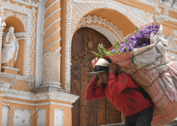 La flor «eterna» de San Pedro Las Huertas tiñe de fe la Semana Santa de Guatemala