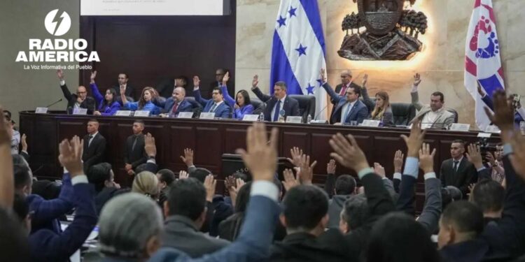 Congreso Nacional destituye en juicio político a cuatro funcionarios electorales