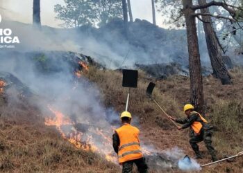 FFAA participó en el combate de nueve incendios forestales en varios sectores del país durante el fin de semana