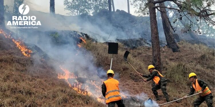FFAA participó en el combate de nueve incendios forestales en varios sectores del país durante el fin de semana