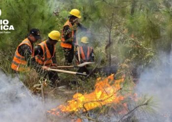 122 incendios forestales se han registrado en el Distrito Central en lo que va de 2026