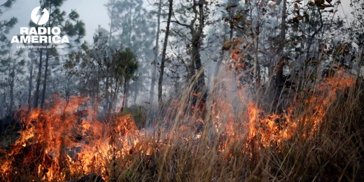 ASJ: "Honduras, el tercer país más vulnerable del mundo, enfrenta crisis ambiental sin estrategia de protección"
