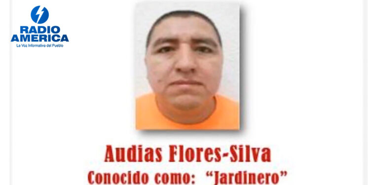 Detenido en México El Jardinero, presunto nuevo líder de Cartel Jalisco Nueva Generación