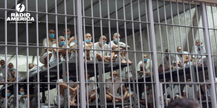 Se elevan a 512 las muertes en cárceles salvadoreñas bajo régimen de excepción, según ONG