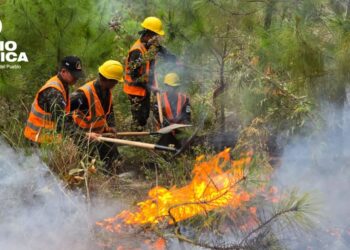FF. AA. combate 15 incendios forestales en el país durante el fin de semana