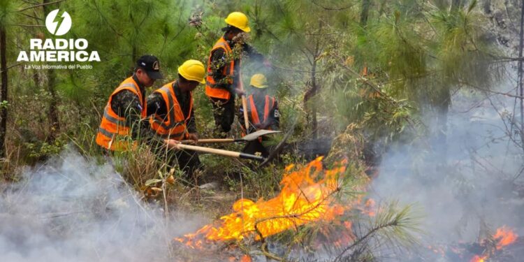 FF. AA. combate 15 incendios forestales en el paÃs durante el fin de semana