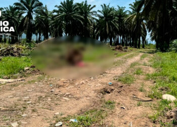 La ONU condena la matanza de 19 personas en Honduras y urge a desmantelar redes criminales