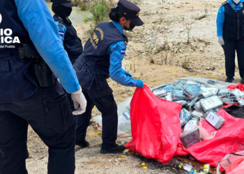 Incineran 70 kilos de clorhidrato de cocaína valorados en más de 20 millones de lempiras