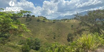 Advierten que los bosques de Honduras podrían desaparecer en 21 años