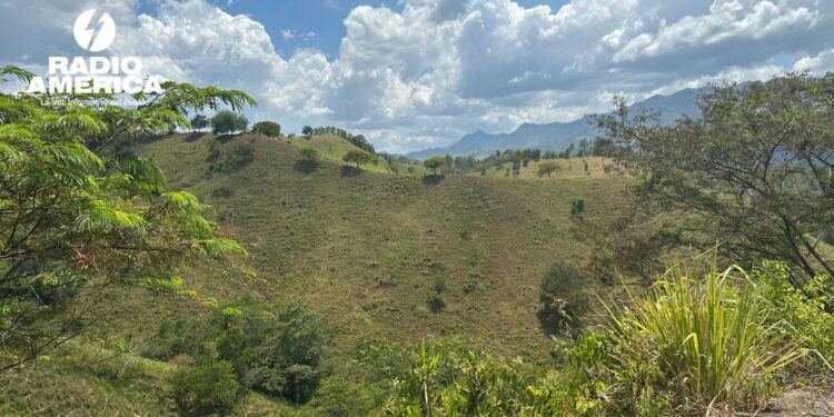 Advierten que los bosques de Honduras podrían desaparecer en 21 años