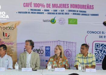 Más de 420 sacos de café libres de deforestación se exportan desde Corquín a Alemania