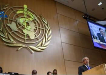 La asamblea de la OMS, marcada por ébola y hantavirus, cierra con llamada a la cooperación
