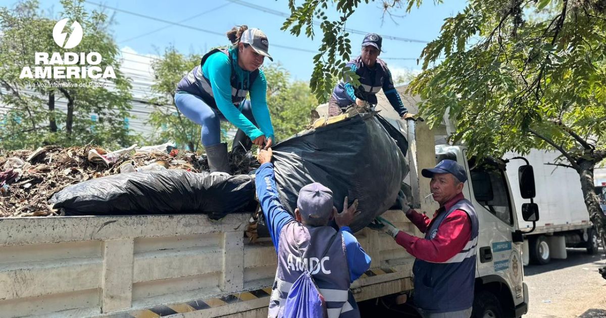 Alcaldía intensifica jornadas de limpieza en la capital