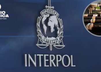 Incautan más de 3.300 armas y 56 toneladas de drogas en operativo en América Latina