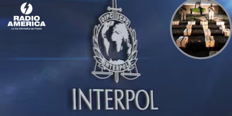 Incautan más de 3.300 armas y 56 toneladas de drogas en operativo en América Latina