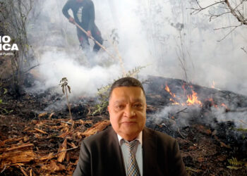 Los incendios ya afectan 44 mil hectáreas de bosques en Honduras y alertan que será mayor la crisis de agua