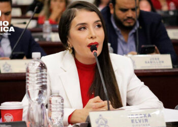 Iroshka Elvir aclara que ella no está "boicoteando" la elección para cubrir vacantes en el CNE y TJE