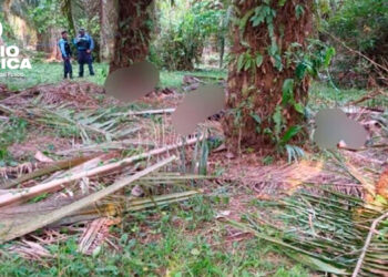 Confirman al menos 19 muertos en un ataque armado en una finca del Caribe de Honduras
