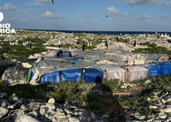 Fuerza Naval decomisa casi 4 mil galones de combustible ocultos en Cayo Bobel Rock