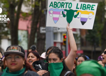 América Latina es «de los principales frentes globales por el aborto», afirma organización