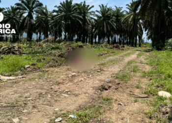 Investigan la supuesta matanza de al menos diez personas en una finca de Honduras